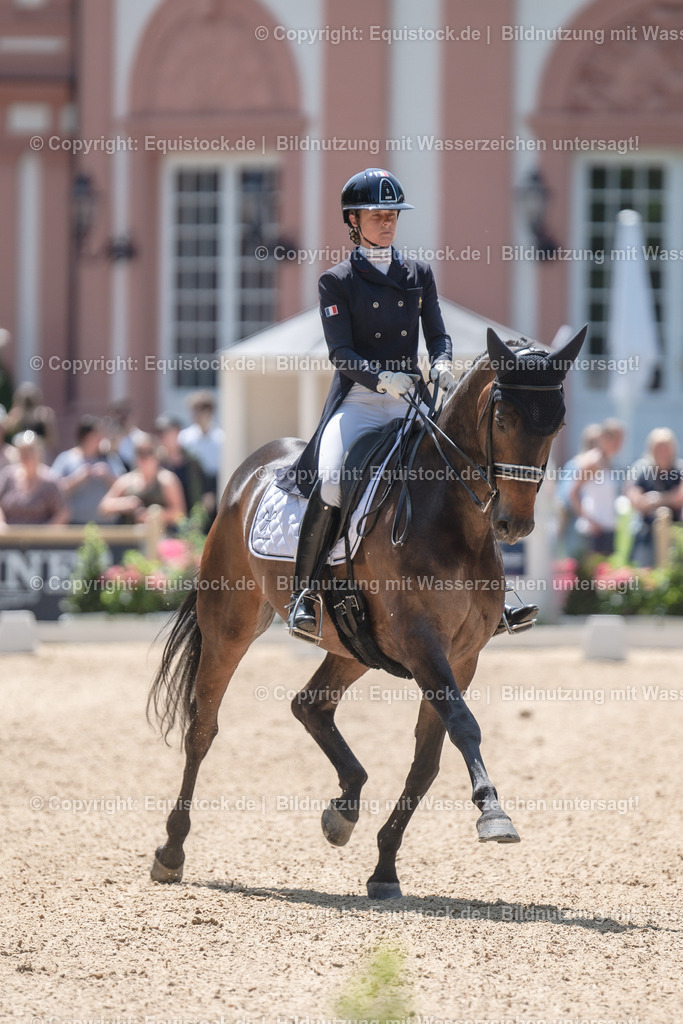 20230528_03_GP-Special-Tour_0284 | equistock