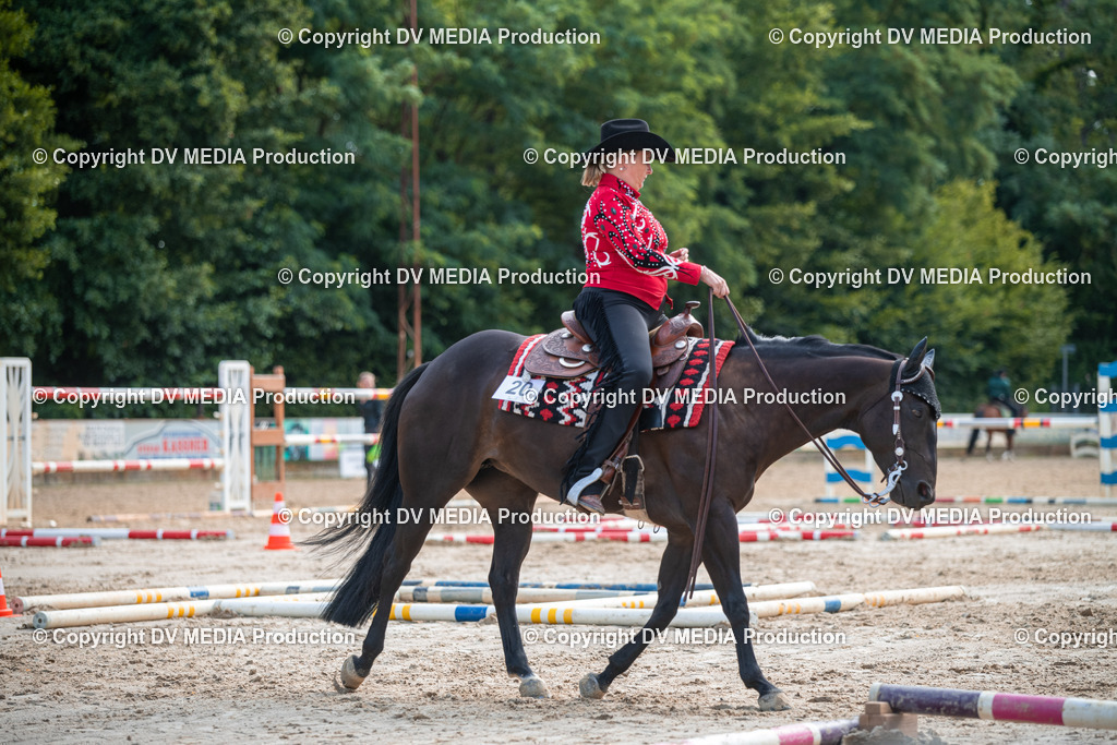 ZS3_9227 | dv-media-shop - Realisiert mit Pictrs.com