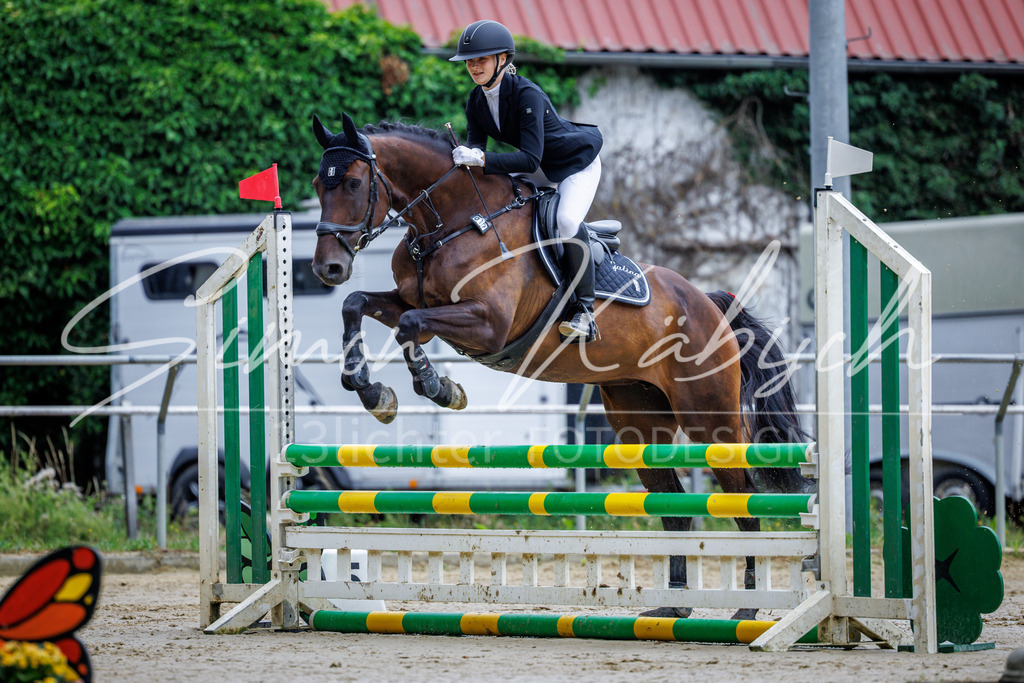 20260705-_3LI3566 | Tierfotografie Pferde, Hunde, Katzen, Haustiere.
Turnierfotografie Reitturniere, Reiten, Springreiten, Dressur in Hanau, dem Main-Kinzig-Kreis und dem Rhein-Main- Gebiet um Frankfurt