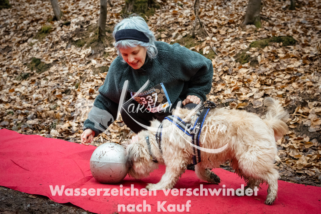 1136_ZZ90886 | kk-dogfotos