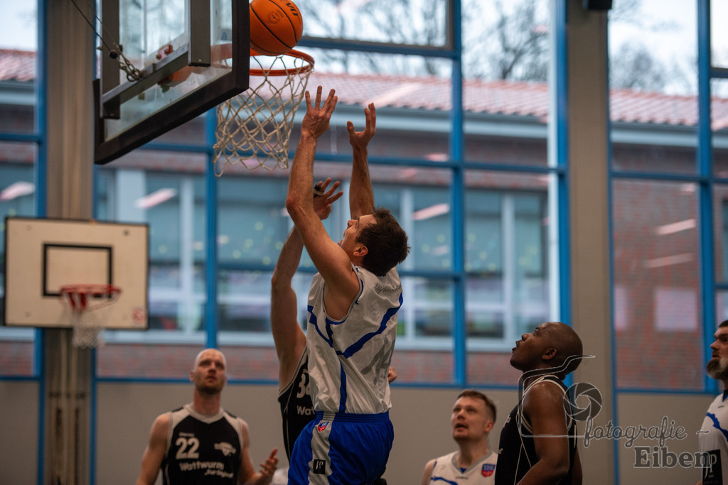 VFL Rastede 2-VfL Edewecht Wattworms | VFL Rastede II (weiß)-VfL Edewecht Wattworms (schwarz) am 18.02.2024; in Kleibrok (Sporthalle Zur-Windmühlen-Straße), Photo: Philip Eiben 2024 - Realisiert mit Pictrs.com