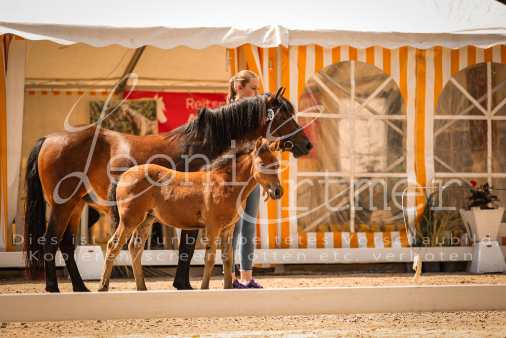 02.DoSR00061 | Leoni Ertmer Photography - Realisiert mit Pictrs.com