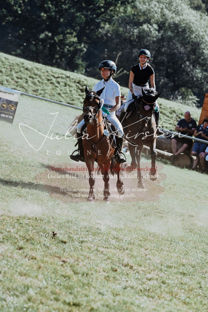 DSC_6234 | Pferde- und Turnierfotografie in Westsachsen. Pferdeportraits, Auftragszeichnungen und intuitive Kunst.