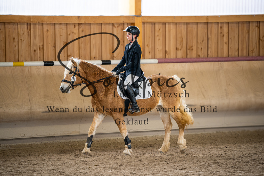 A7V00004 | Pferdefotograf