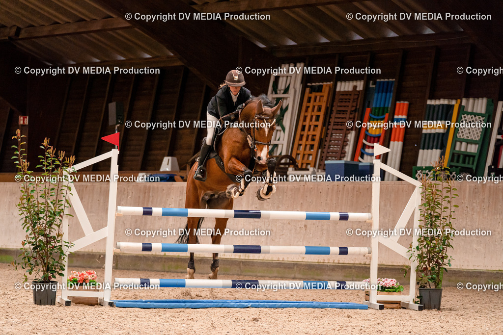 Springen Tag 1-466 | dv-media-shop - Realisiert mit Pictrs.com