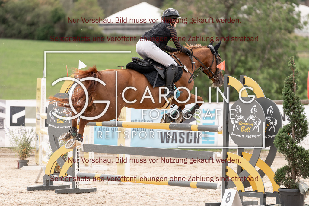 DSC06755 | Springturnier_Teamchallege_Talheim_2026, Lara-Sophie_Strom, Nectarine_V.D.Wart
