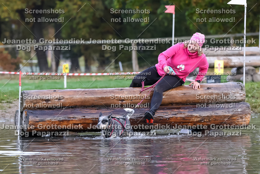 Dog Paparazzi - Strongdog 10-25-6536 | Dog Paparazzi Jeanette Grottendiek Fotografie & Videografie - Realisiert mit Pictrs.com