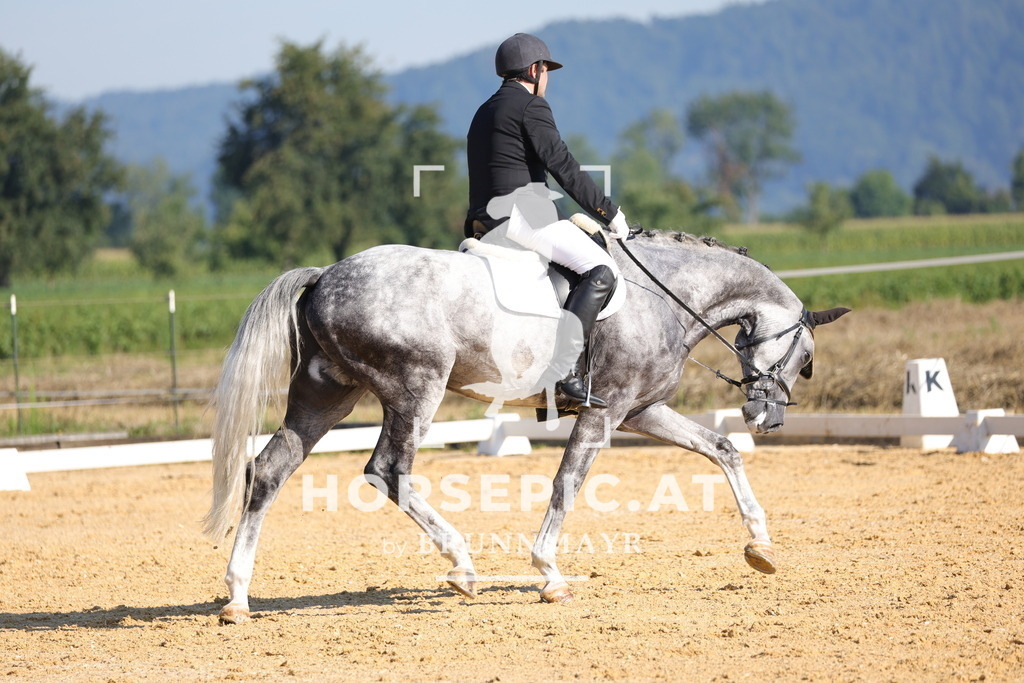 0P6A7109 | Willkommen bei Brunnmayr - Design & Fotografie – Ihrem Spezialisten für Reitturniere und Pferdeveranstaltungen in Oberösterreich, Salzburg und Bayern! Seit über 17 Jahren sind wir leidenschaftlich dabei.