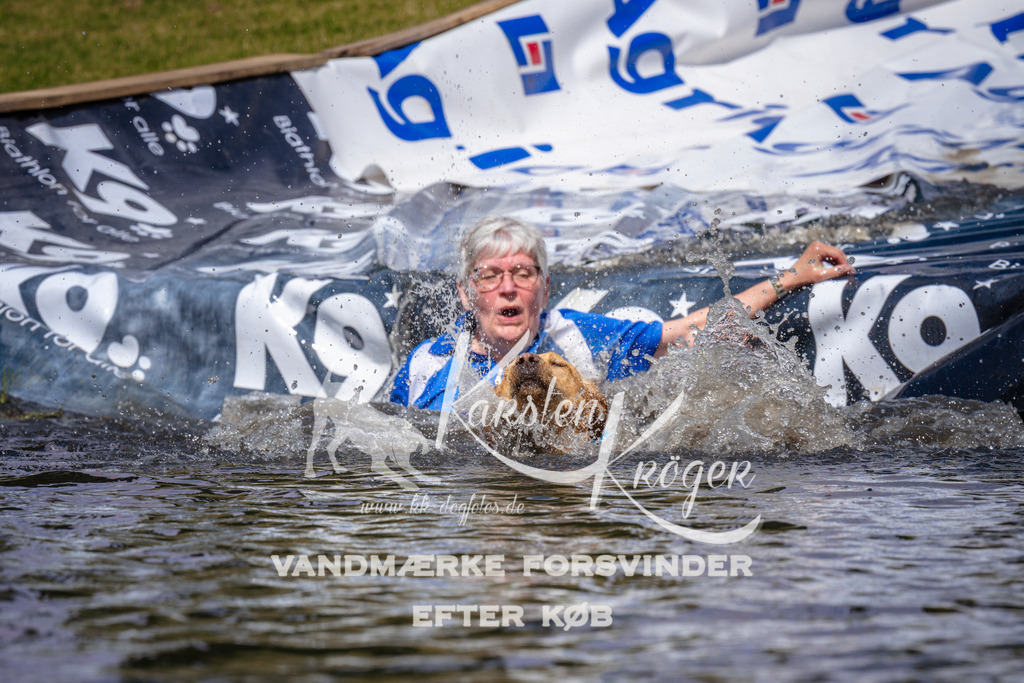 _ZZ971081022 | kk-dogfotos