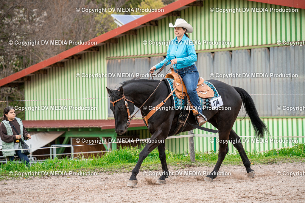 BA301024 | dv-media-shop - Realisiert mit Pictrs.com