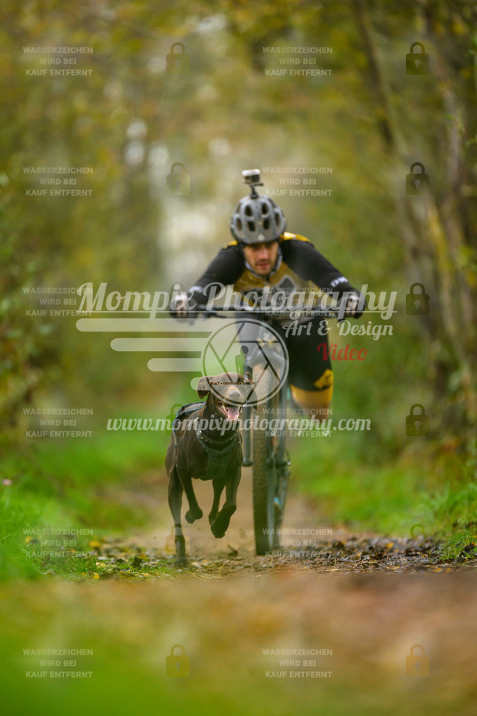 MompixPhotography_20TSB_E6_DS1-9 | PayLife