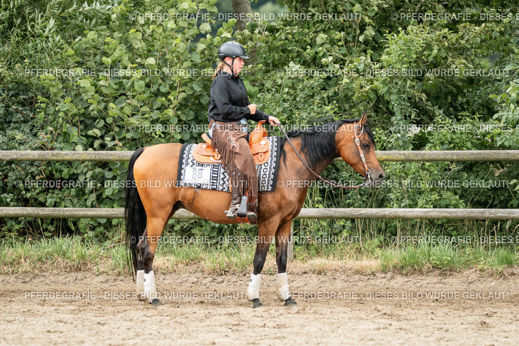 DSC04549 | Pferdegrafie