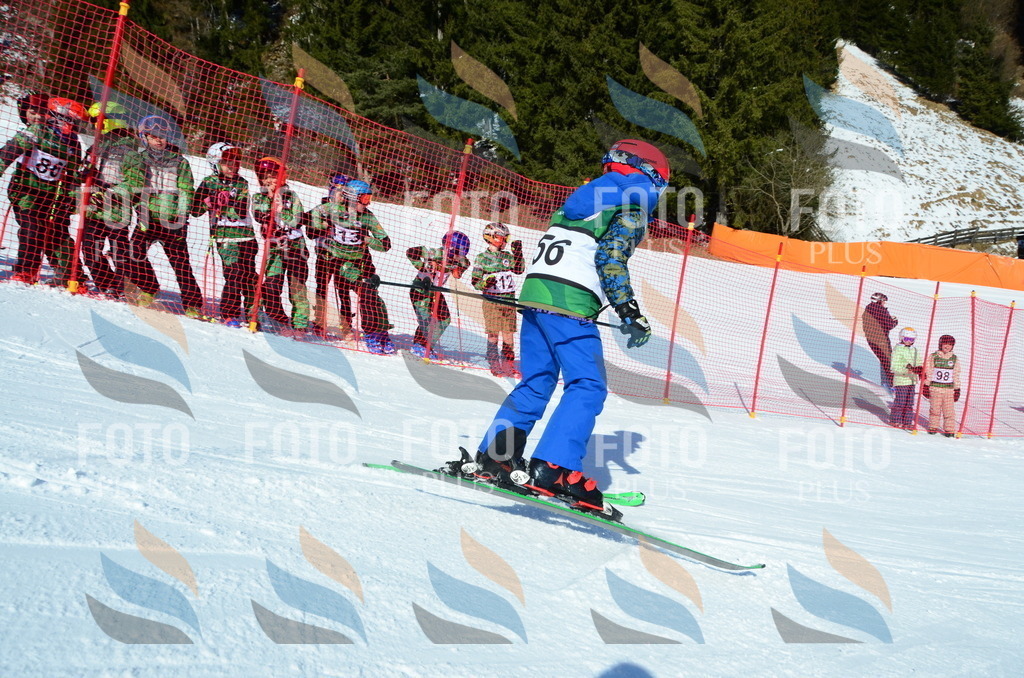 C5298 | holidayphoto