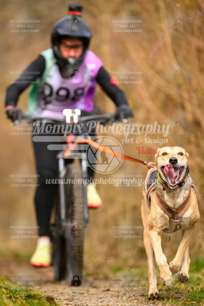 MompixPhotography_Schwabentrail2024_Bike-48 | PayLife