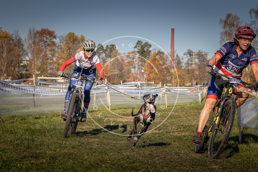 CaniXpix_0L8A5686 | Hundefotografie, Tierfotograf, Pfotenfotografie, Fotoshooting Hund, Hunde Portrait, Hundesport, Hundeportraits, Heideshooting, Hunde, Sportfotograf, Hundefotograf, Turnierhundsport, THS,  - Realisiert mit Pictrs.com