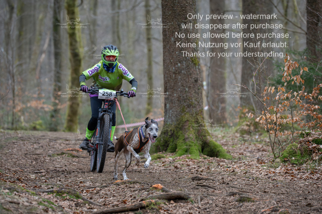 Bike_So-185 | stephaniefillaphotographie - Realisiert mit Pictrs.com