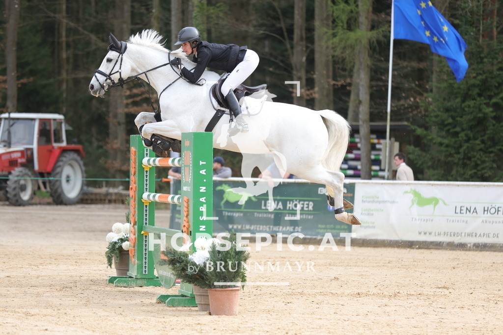 0P6A7072 | Willkommen bei Brunnmayr - Design & Fotografie – Ihrem Spezialisten für Reitturniere und Pferdeveranstaltungen in Oberösterreich, Salzburg und Bayern! Seit über 17 Jahren sind wir leidenschaftlich dabei.
