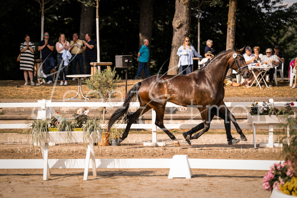 FrER00175 | Leoni Ertmer Photography - Realisiert mit Pictrs.com