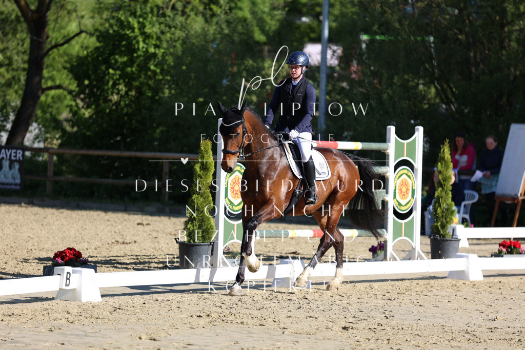 IMGT2816 | pl-fotografie