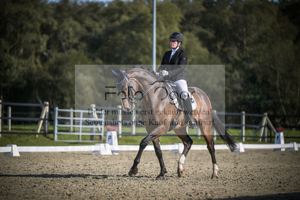 DOS_4695 | Entdecke hochwertige Reitturnierfotos von Foto Oger. Professionell, emotional und authentisch – jetzt Lieblingsmomente im Shop bestellen.Deutschlandweite Turnierfotografie. - Realisiert mit Pictrs.com