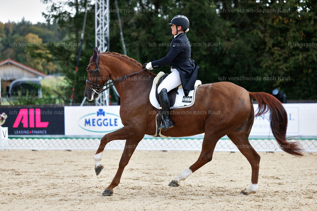 10-230-ST.GEORG SPECIAL -StoibPH-3178 | working equitationturnier fotograf videograf stoibphotography marixx film working equitation deutschland reitsport turnierfotografie eventfotografie equestrian events