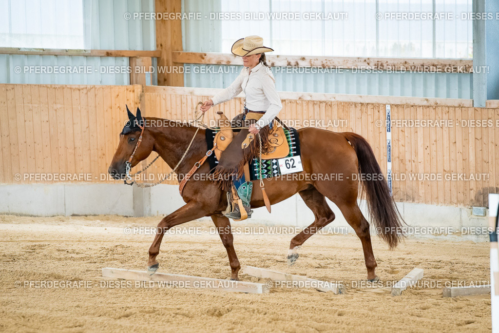 DSC07372 | Pferdegrafie