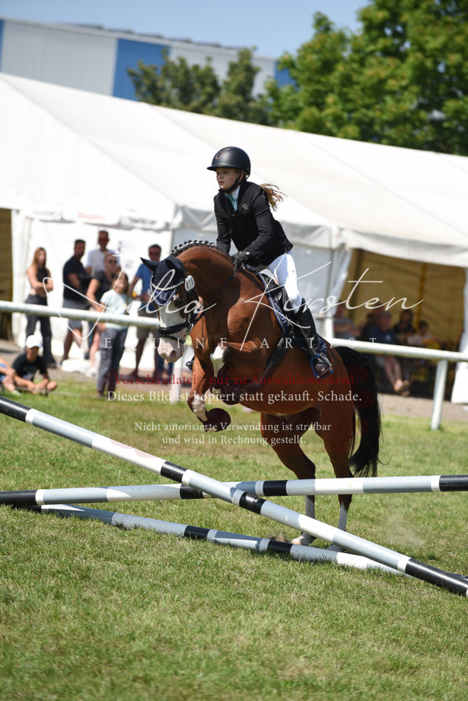 DSC_0005 | Pferde- und Turnierfotografie in Westsachsen. Pferdeportraits, Auftragszeichnungen und intuitive Kunst.