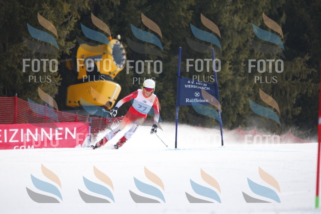 D5935 | holidayphoto