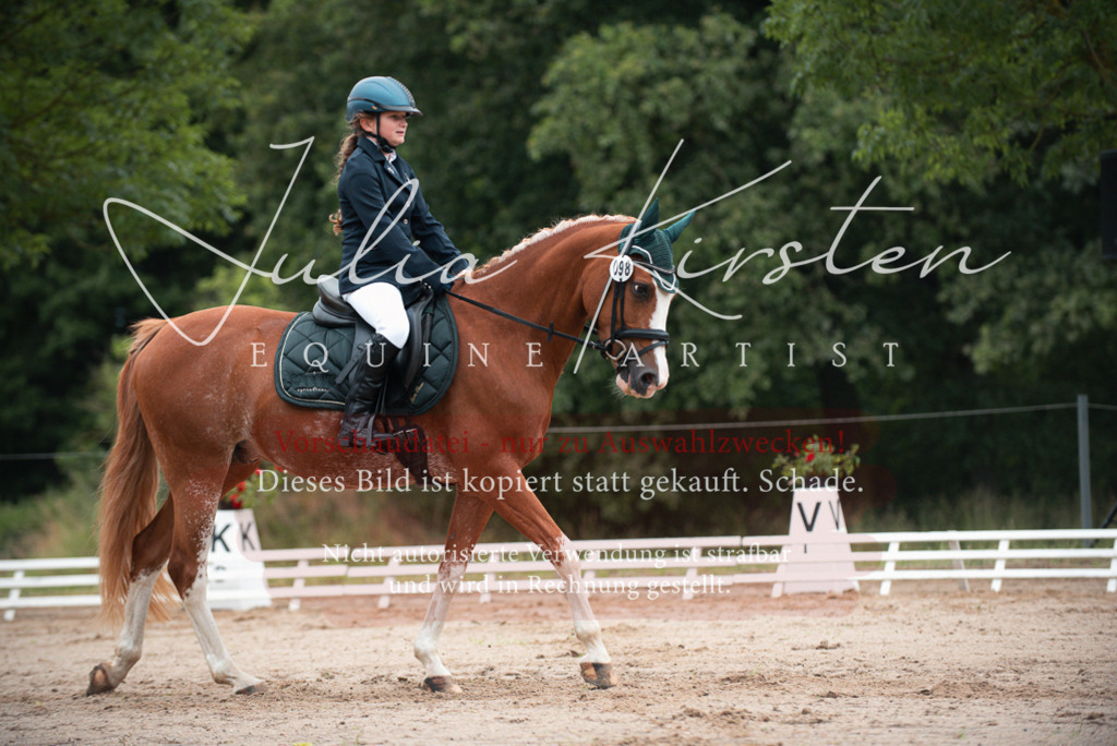 DSC_9620 | Pferde- und Turnierfotografie in Westsachsen. Pferdeportraits, Auftragszeichnungen und intuitive Kunst.