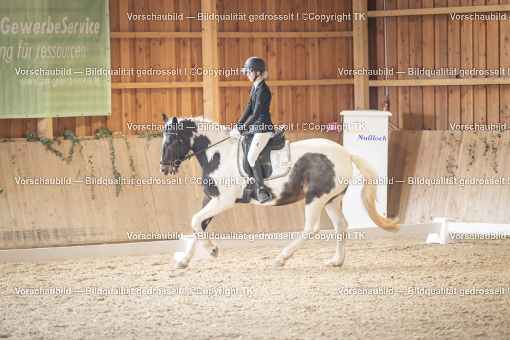 _D5A2416 | Emotionale Pferde- & People-Fotografie rund um Heidelberg, Leimen & Umgebung. Natürliche Fotos von Pferd, Mensch & Familie. Jetzt Termin sichern!