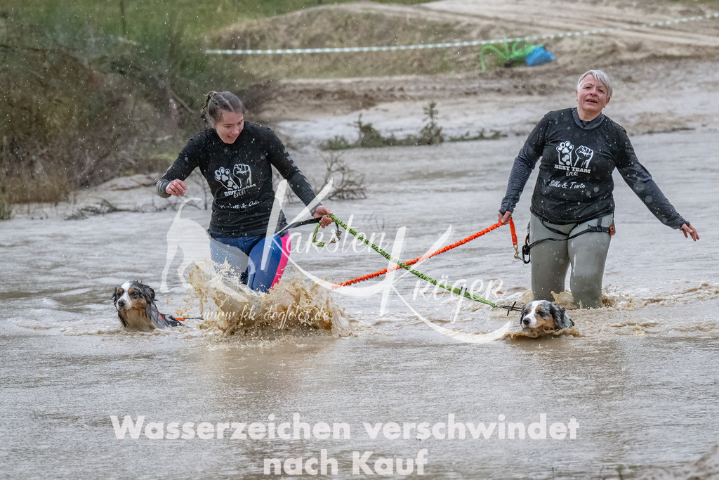 1538_ZZ90495-Bearbeitet | kk-dogfotos
