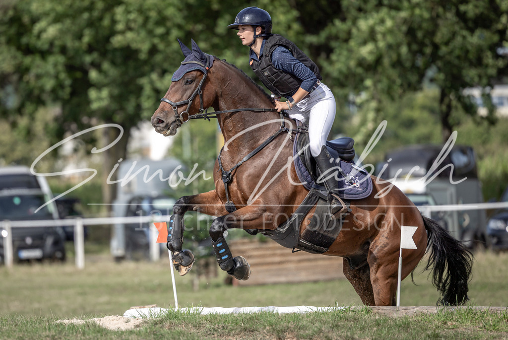 20250907-_3LI9495 | Tierfotografie Pferde, Hunde, Katzen, Haustiere.
Turnierfotografie Reitturniere, Reiten, Springreiten, Dressur in Hanau, dem Main-Kinzig-Kreis und dem Rhein-Main- Gebiet um Frankfurt