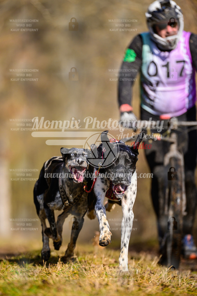 MompixPhotography_Schwabentrail2025_SO_DS2-17 | PayLife