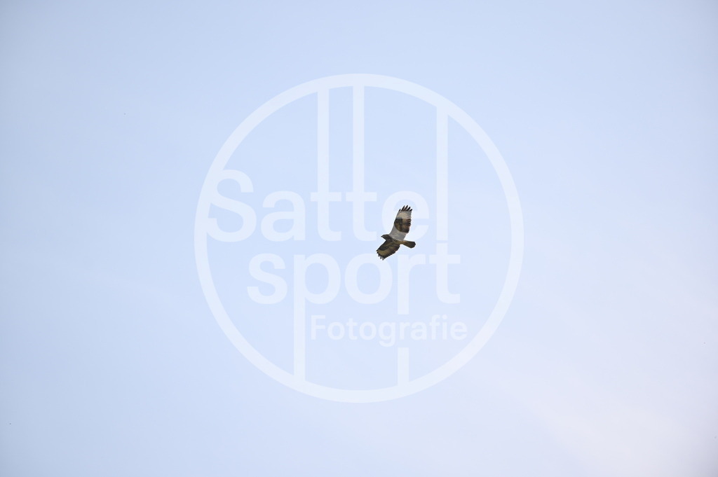 DSC_4561 | sattelsport - Realisiert mit Pictrs.com