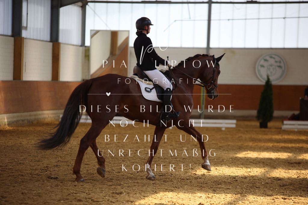 IMGT5049 | pl-fotografie