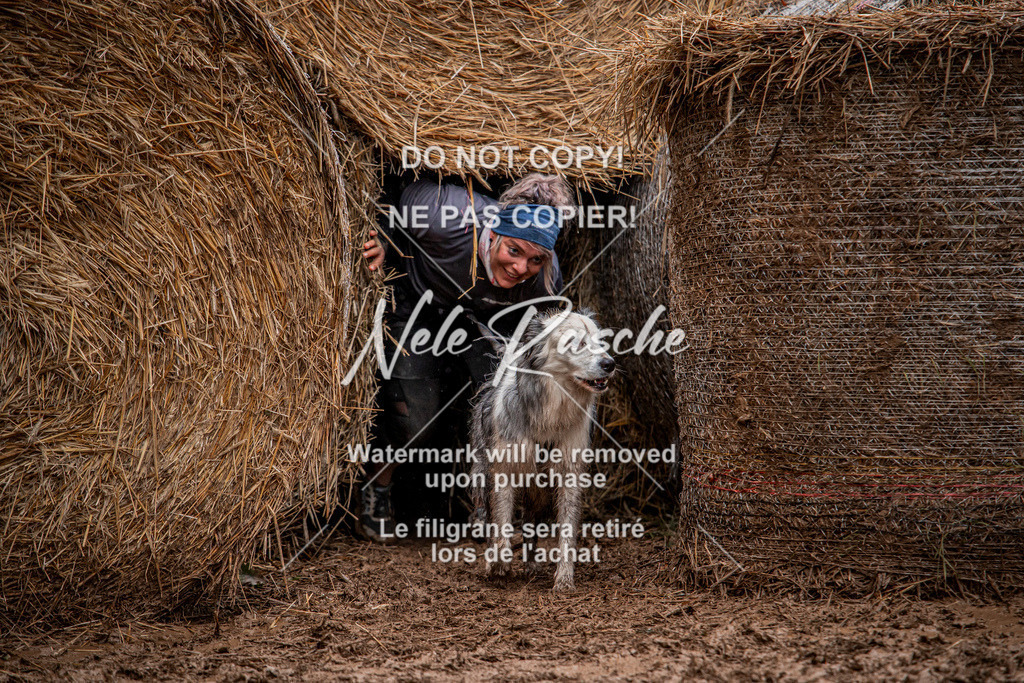 nelerasche_Hunsrück_So09-11_88 | nelerasche