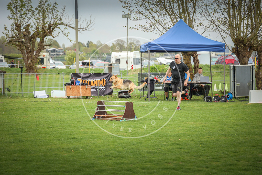 Pfotenfotografie_0L8A9453 | Hundefotografie, Tierfotograf, Pfotenfotografie, Fotoshooting Hund, Hunde Portrait, Hundesport, Hundeportraits, Heideshooting, Hunde, Sportfotograf, Hundefotograf, Turnierhundsport, THS,  - Realisiert mit Pictrs.com