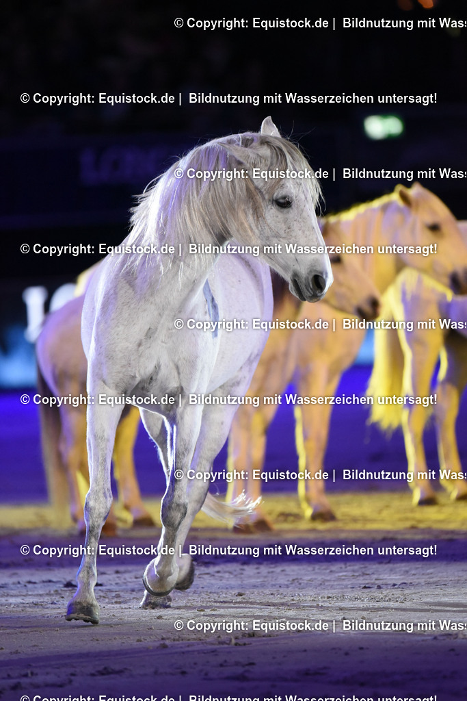 20231115_Show-Jean-Francois-Pignon_0074_TOMsPiC | Foto: Thomas Hartig