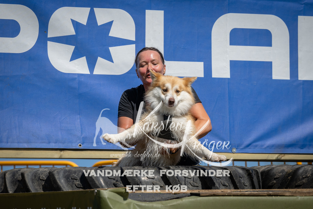 1256_ZZ97600 | kk-dogfotos