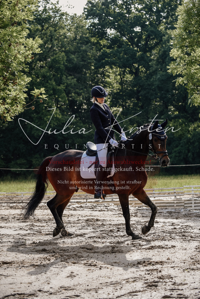 DSC_8723 | Pferde- und Turnierfotografie in Westsachsen. Pferdeportraits, Auftragszeichnungen und intuitive Kunst.