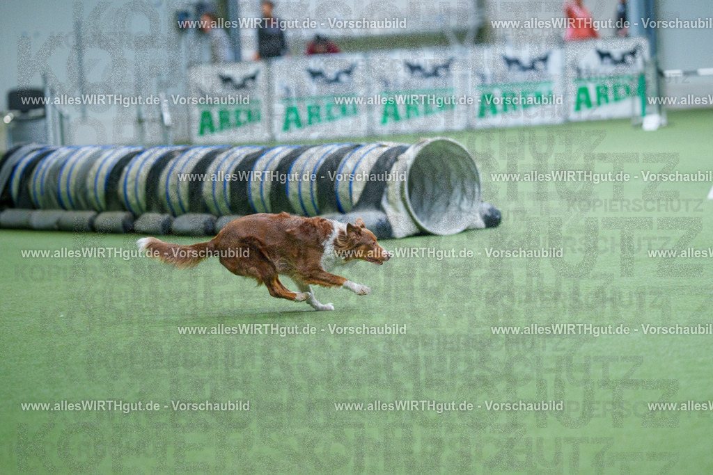 @allesWIRTHgut_Tierfotografie - www.allesWIRTHgut.de - 2604251058-7R500690 | Professionelle Tierfotografie in Mönchengladbach von Daniel Wirth (allesWIRTHgut). Liebevolle & natürliche Bilder von Hunden & Katzen für unvergessliche Erinnerungen.