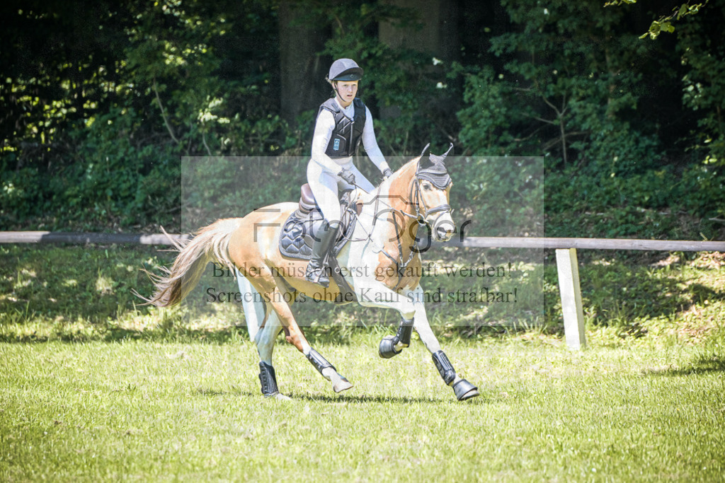 DOS_1462 | Entdecke hochwertige Reitturnierfotos von Foto Oger. Professionell, emotional und authentisch – jetzt Lieblingsmomente im Shop bestellen.Deutschlandweite Turnierfotografie. - Realisiert mit Pictrs.com