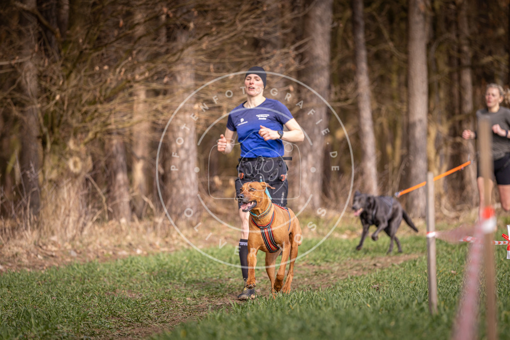 DV3A6049 | Hundefotografie, Tierfotograf, Pfotenfotografie, Fotoshooting Hund, Hunde Portrait, Hundesport, Hundeportraits, Heideshooting, Hunde, Sportfotograf, Hundefotograf, Turnierhundsport, THS,  - Realisiert mit Pictrs.com