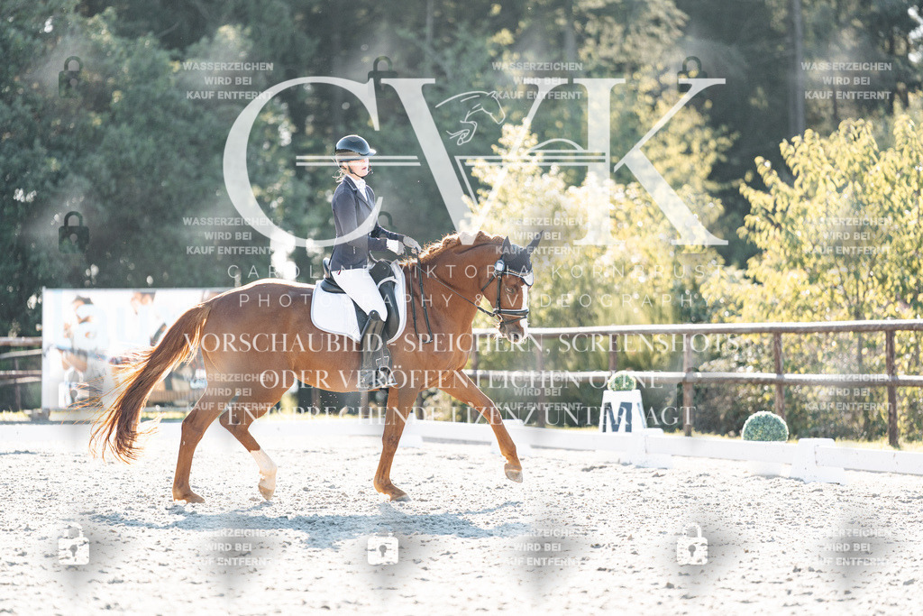 CK906832 | Turnierfotografie Pferdefotografie Trier Rheinland-Pfalz Pferdesport Reitsport Tierfotografie Sportfotografie Pferdevideo Pferdevideografie Equestrianvideography equestrianphotography  - Realisiert mit Pictrs.com