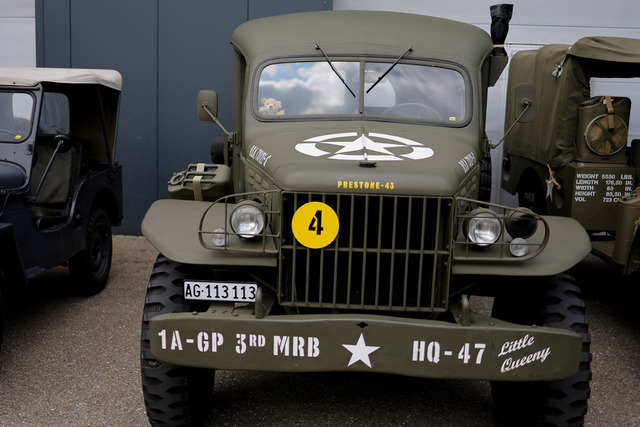 Calag_Oldtimer2025-42 | Ich fotografiere Hundeausstellungen, Sportanlässe, Zuchtstätten, Hundezucht, Hundeportrait, Lagotto - Realisiert mit Pictrs.com