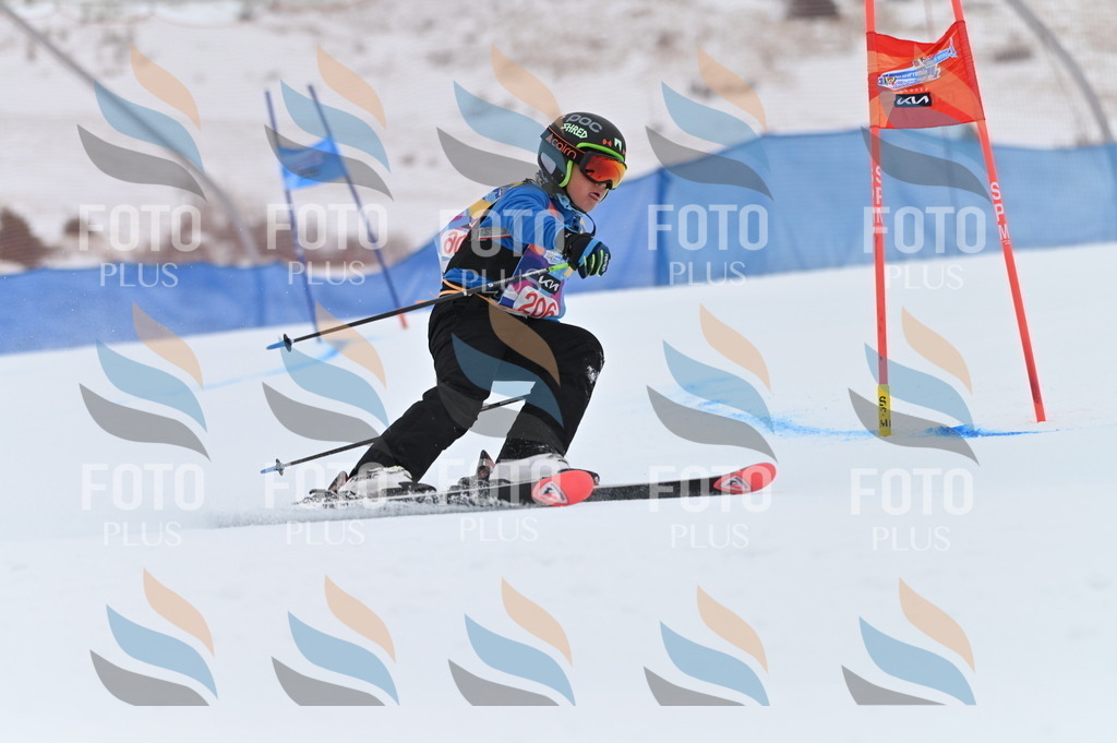 BGV_2175 | holidayphoto