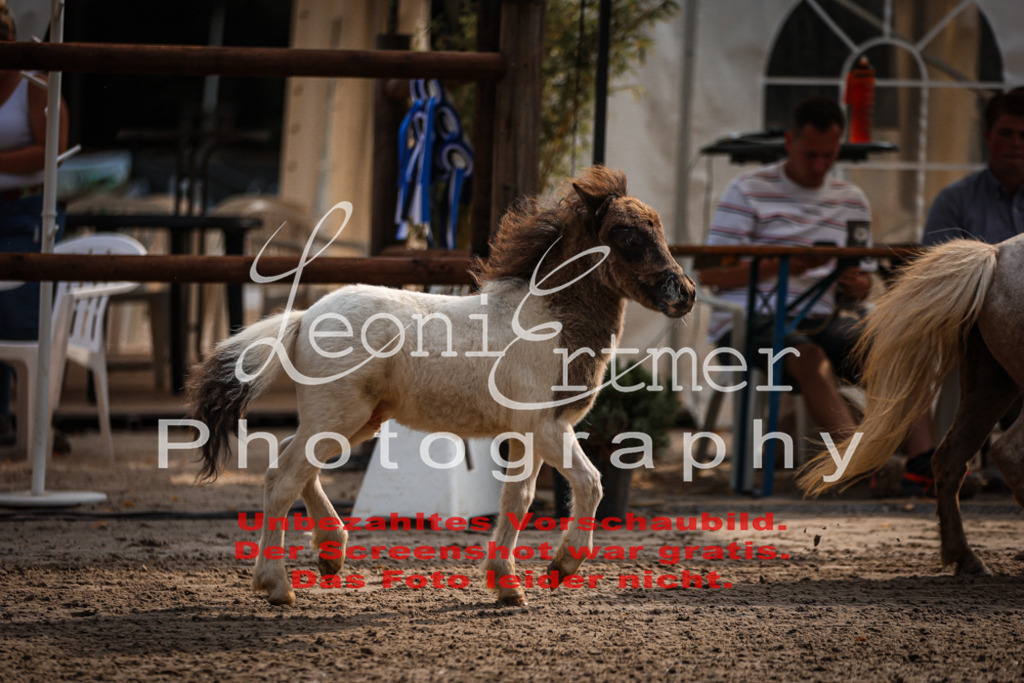 1.Fr00035 | Leoni Ertmer Photography - Realisiert mit Pictrs.com