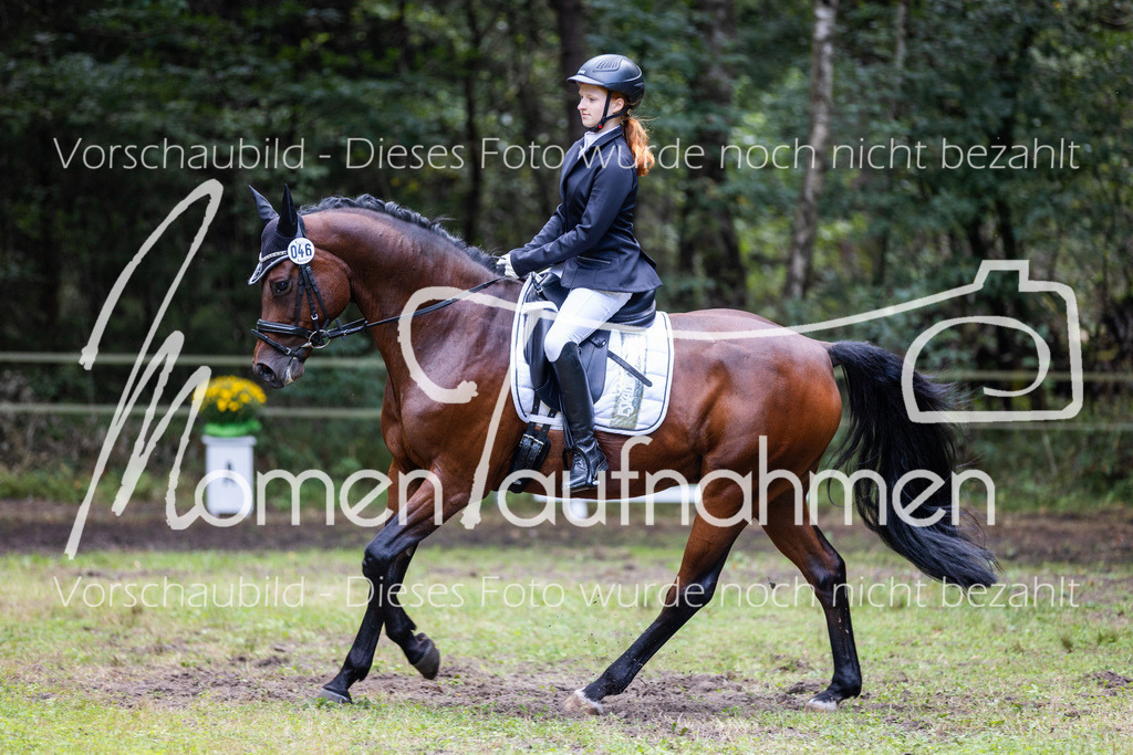 HB-Dressur-WB-089 | MomenTaufnahmen Pferdesportfotos