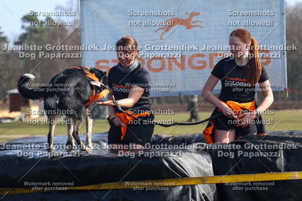 Dog Paparazzi - Strongdog North Mrz26-1327 | Dog Paparazzi Jeanette Grottendiek Fotografie & Videografie - Realisiert mit Pictrs.com