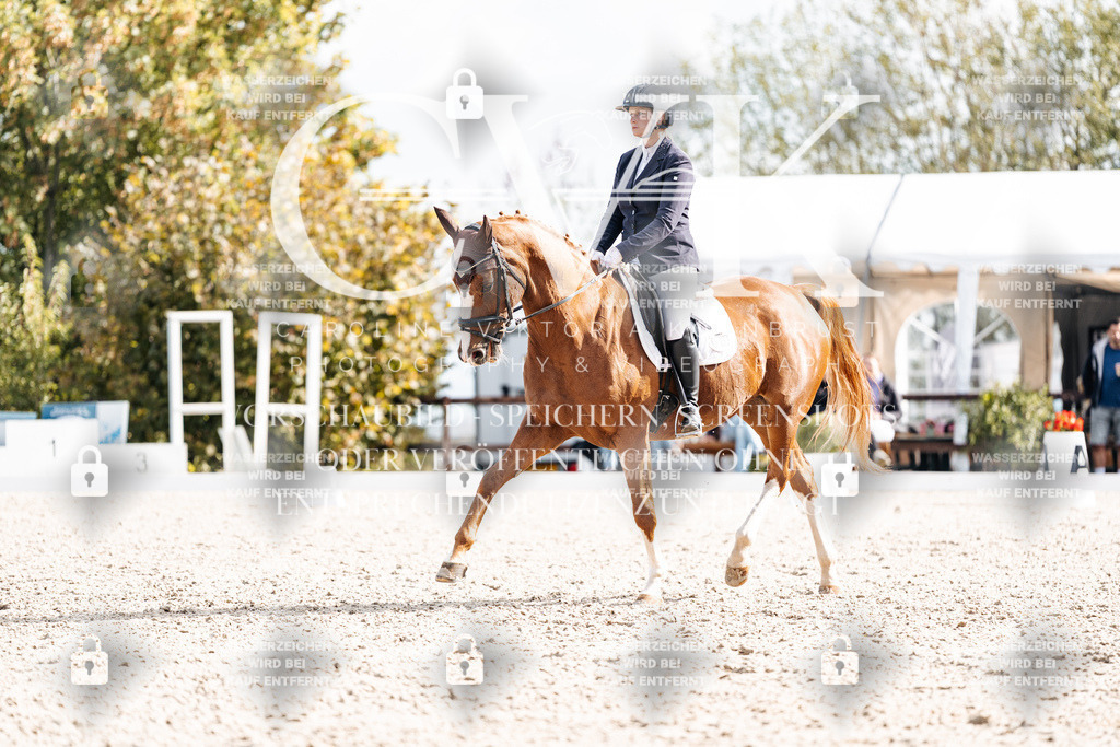 CK901839 | Turnierfotografie Pferdefotografie Trier Rheinland-Pfalz Pferdesport Reitsport Tierfotografie Sportfotografie Pferdevideo Pferdevideografie Equestrianvideography equestrianphotography  - Realisiert mit Pictrs.com